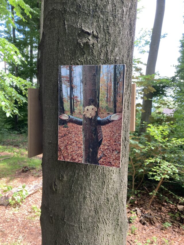 2B12FBF0-CD93-4F95-9329-E19BE2E3F246