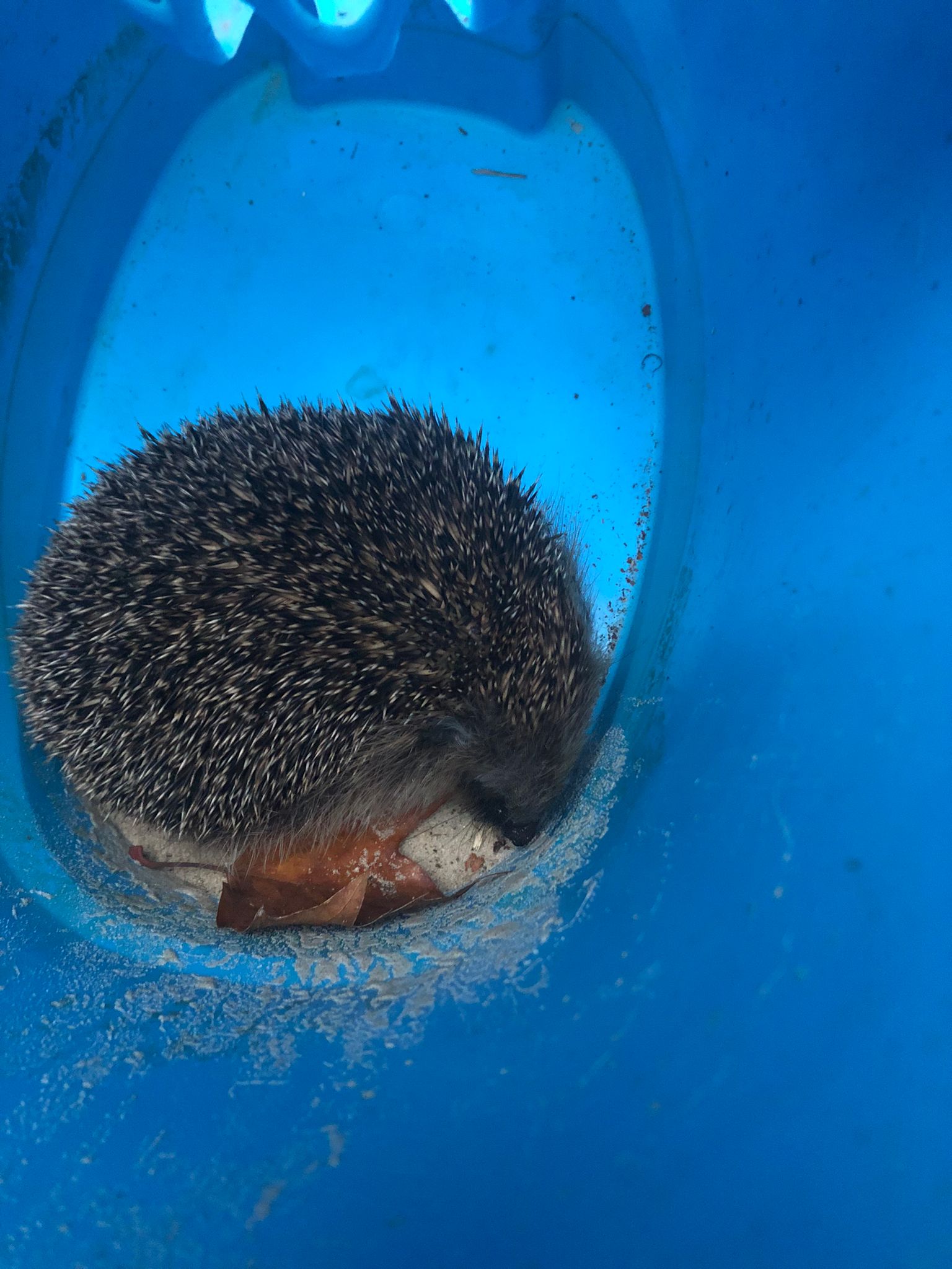 664C1351-4AD1-4477-8A96-0551CA15C1C6